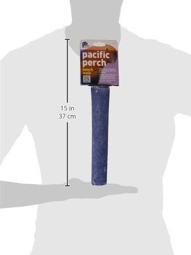 Prevue Pet Products Pacific Perch Beach Walk X-Large - Natural Seashell Mineral Bird Perch for Cage Accessory, Foot Exercise & Beak Grooming, Ideal for X-Large Birds