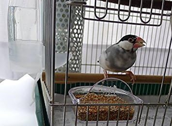 Bird Cage Seed Feeder Cup Shallow Style Set of 2 for Care, Treat (S)