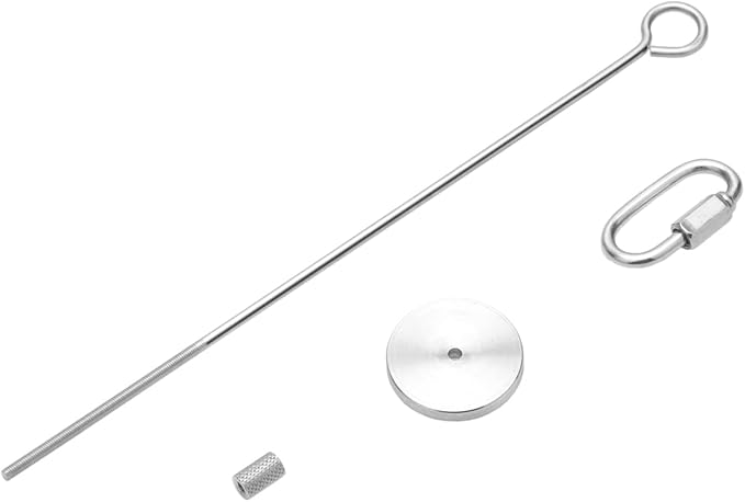 Bird Food Holder Stainless Steel Fruit Vegetable Stick Skewer for Parrots Cockatoo Cockatiel Cage Treating Tool (2 PCS-L)