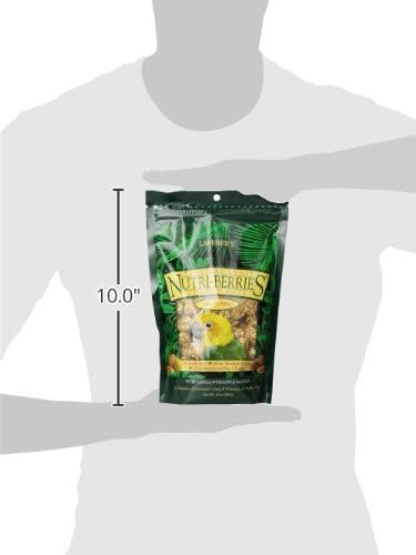 LAFEBER'S (2 Pack) Gourmet Tropical Fruit Nutri-Berries for Conures 10-Ounce Bag