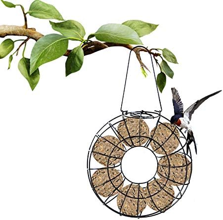 Fat Ball Stand, Fat Ball Feeder for Bird Feeder, Hanging Round Shape Metal, Food Ring Dispenser with Lid