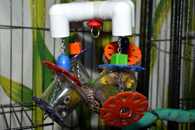 Super Bird Creations SB634 4 Way Forager Bird Toy with Clear Acrylic Cups, Medium to Large Bird Size, 12” x 7” x 7”
