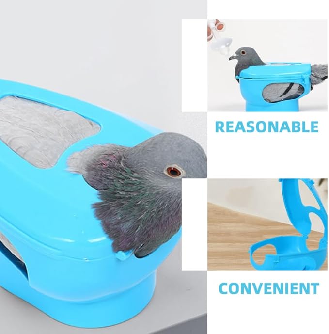BESTonZON 2pcs Pigeon Injection Holder Feeding Stand for Easy Medicine Application Fixed Mount for Pigeons for Pet Bird Care