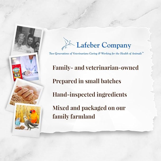 LAFEBER'S Classic Avi-Cakes Pet Bird Food, Made with Non-GMO and Human-Grade Ingredients, for Cockatiels Conures Parakeets (Budgies) Lovebirds (8 oz Pack of 2)