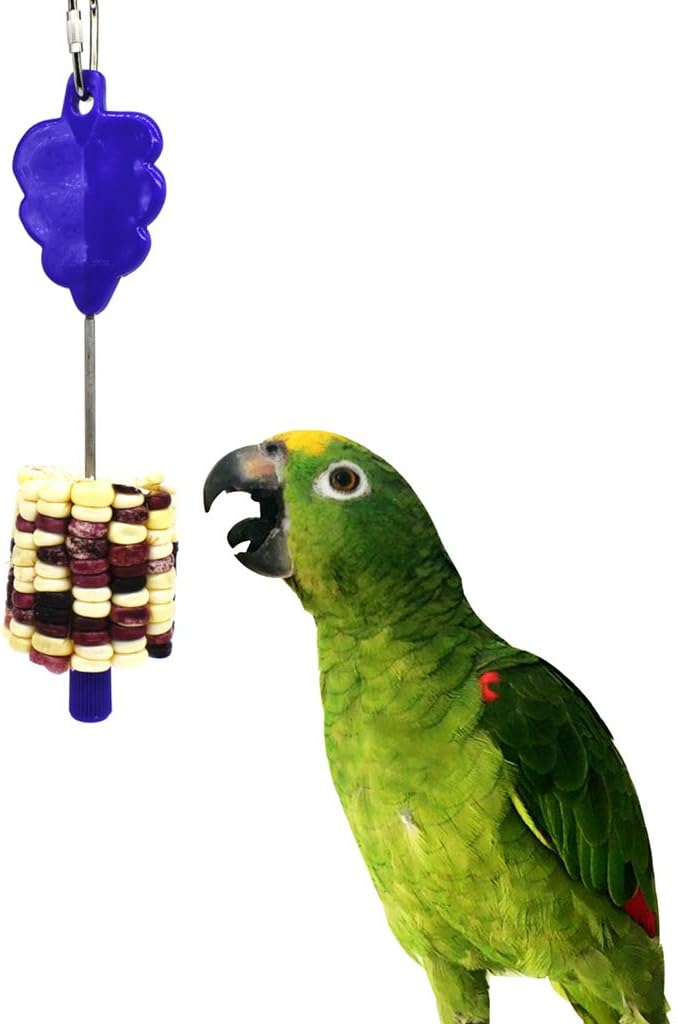 Stainless Steel Food Holder Stick Fruit Skewer Bird Parrot Treating Tool Bird Seed Feeder for Cage