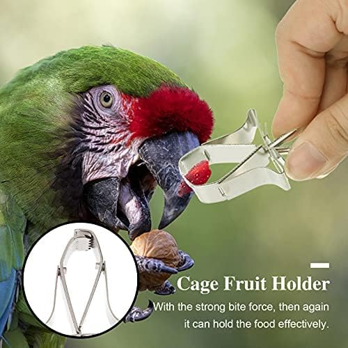 Birds Food Holders - 3pcs Parrot Fruit Vegtable Clips Stainless Steel Feeder Bird Cage Accessories for Budgie Parakeet Cockatiel Conure