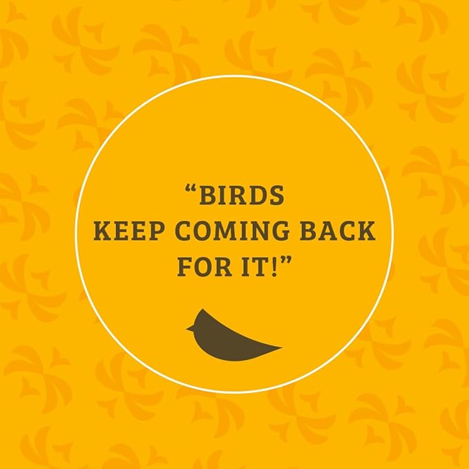 Birds Choice Trail Blazin' Spicy Bird Seed Cake | Squirrel Proof Wild Bird Food with Red Pepper | Black Oil Sunflower Seeds, Peanuts, Safflower & Pecans | High Protein Bird Feeder | 0.5 lbs (6-Pack)