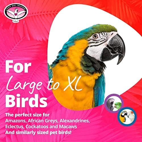 Super Bird Creations - Rainbow Bridge Bird Toy - Durable & Entertaining Bird Playground for Amazons African Greys Eclectus Cockatoos Macaws - Colorful Bird Toy for Large & Extra-Large Birds 29" x 13"