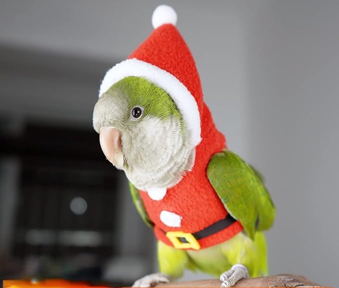 Bird Clothes Birds Flight Suit, Christmas Hoodie for Parrots Cockatiel Sun Conure Christmas Party Cosplay Photo Prop Bird Shirt Small Animals Apparel (Without Diaper,Green Quaker)