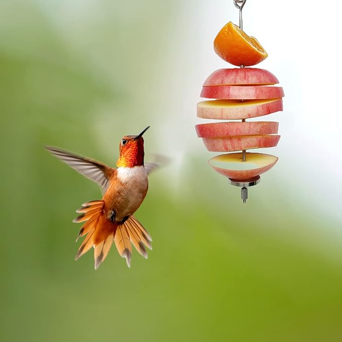 Bird Food Holder, Feeder Toy, Foraging Toy, Treat Skewer, Stainless Steel Parrot Fruit Vegetable Stick Holder (L)