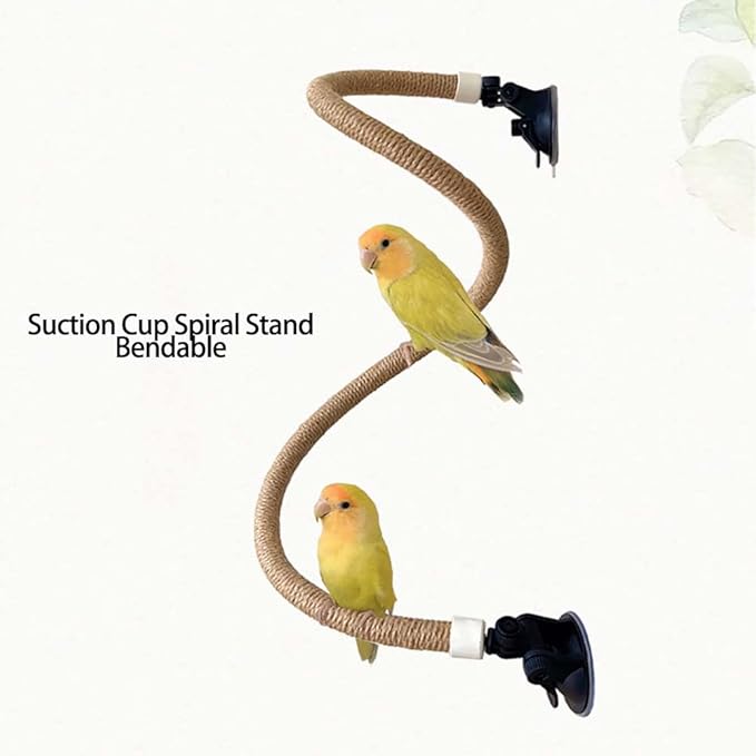 Suction Cup Set for Bird Window/Bath/Car/Travel Perches - Suitable for Small and Medium Bird Parrot Parakeet Cockatiel Conure Budgie Lovebirds