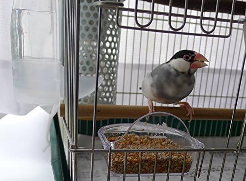 Bird Cage Seed Feeder Cup Shallow Style Set of 2 for Care, Treat (M)