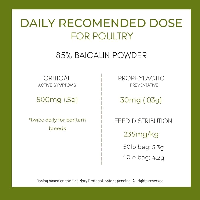 Dam Kids Ranch FORTIFLOCK Poultry Supplement with Chinese Skullcap, for Bird Respiratory and Gut Health (200g)