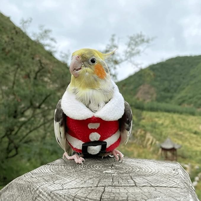 Bird Clothes Birds Flight Suit, Christmas Hoodie for Parrots Cockatiel Sun Conure Christmas Party Cosplay Photo Prop Bird Shirt Small Animals Apparel (B,Common Hill Myna)