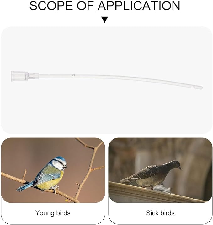 5Pcs Bird 12cm Immature Birds Device Transparent Feeder Water Feeder for Parrot Hand Tools Parakeet Food