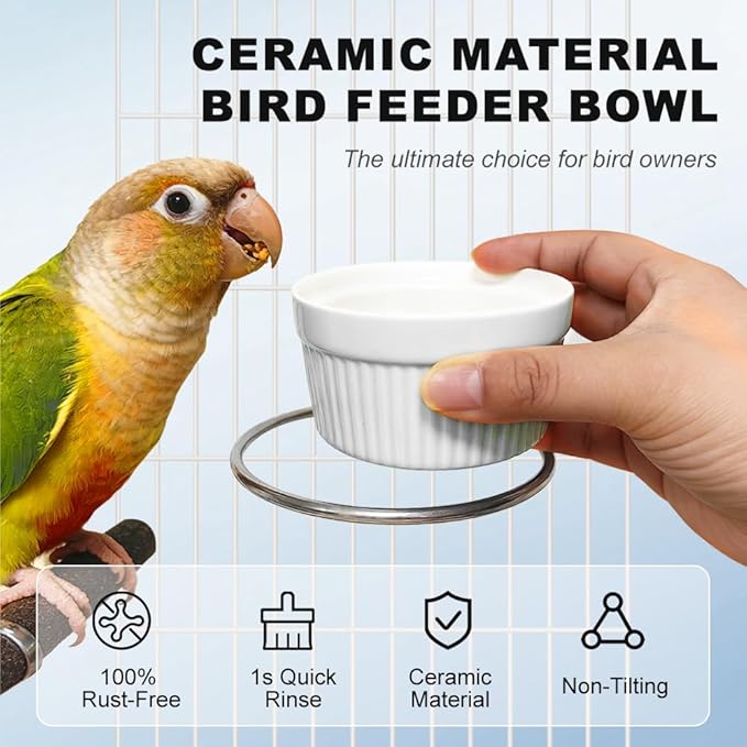 Bird Feeder for Cage Bowl, Ceramic Parrot Feeding Cups - Automatic Easy to Clean & Install, Dishwasher Safe Small Animal Food Water Bird Dish for Parrots, Cockatiels, Canaries(White)
