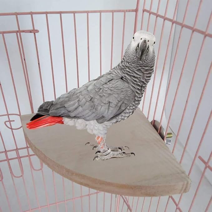 Litewoo Bird Parrot Corner Perch Flat Platform Stand, Easy to Install, Safe and Stable, Smooth Polishing Without Hurting Feet, Solid Hardwood Bird Cage Perches(L)