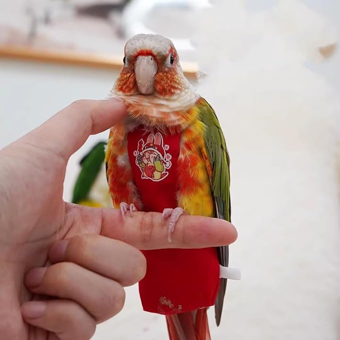 MANON ROSA Bird Diapers Leash Set Washable Reusable Handmade Flight Suit Waterproof Inner Layer - Protective Parrot Nappy Clothes Parakeets Macaws Budgies Canaries (Yellow3,Rainbow Lorikeet)