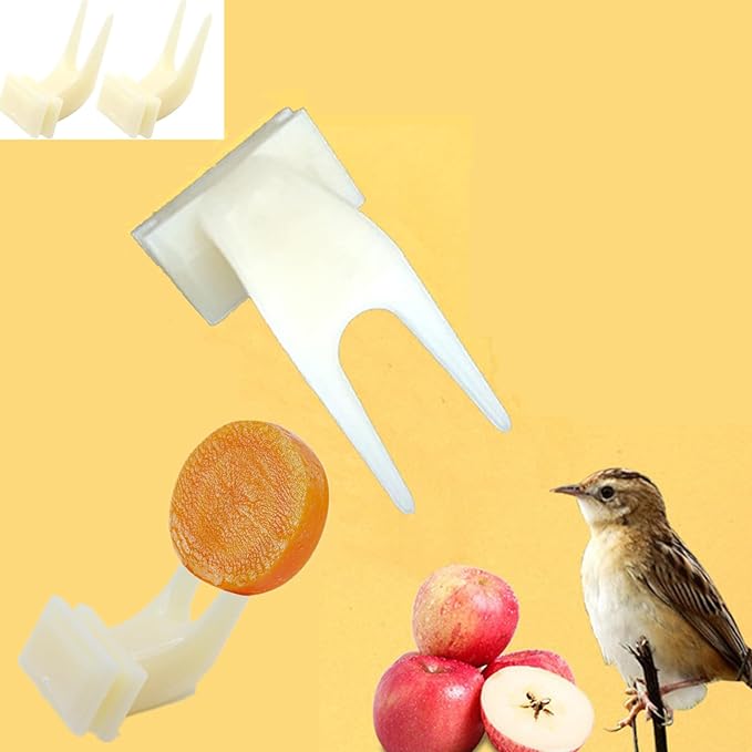 Bird Food Feeder for Cage, Bird Parrots Cage Food Holder Fruit Feeder Fork Set of 10 Fruit Vegetable Feeding Tool Feeding Forks for Cockatoos Treats