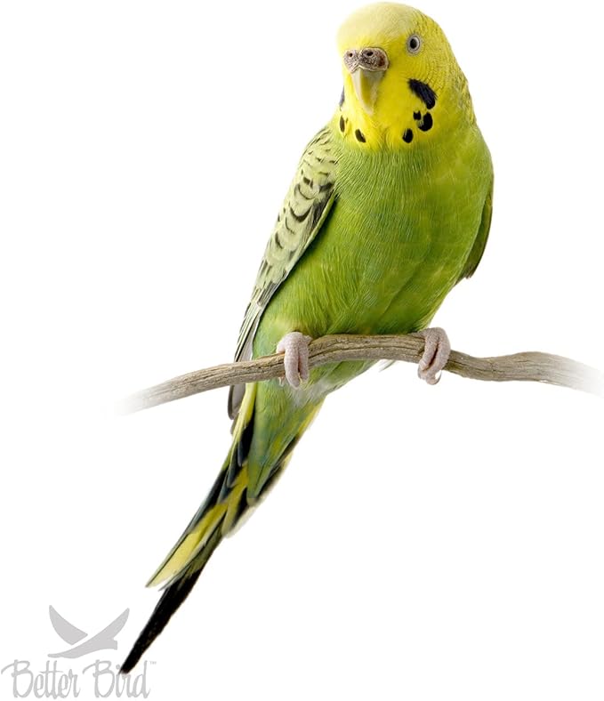 Better Bird, Premium Parakeet Food, 5 lb Jar