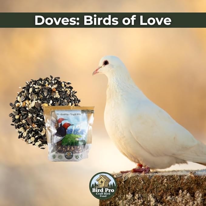 Bird Pro Holistic Bird Seed - Premium Seed for Backyard Feeding (18 Pounds, Hi-Energy Trail Mix)
