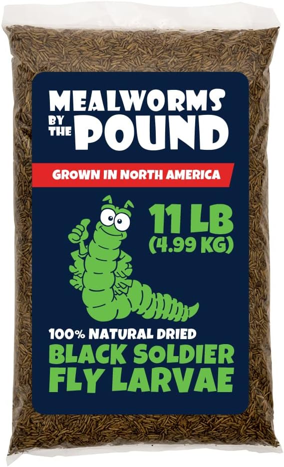 North American Grown Dried Black Soldier Fly Larvae (11 lbs) - More Calcium Than Mealworms - Treats for Chickens, Wild Birds, & Reptiles