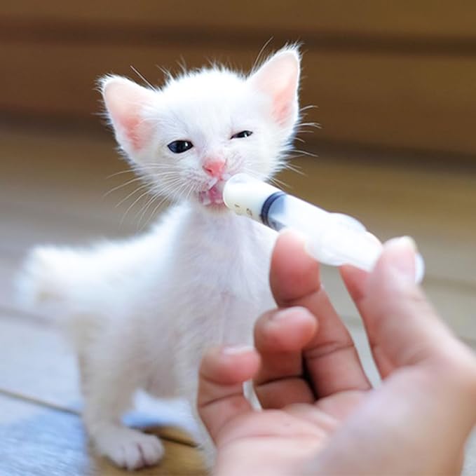 Baby Bird Feeding Syringe Set, Pet Parrot Milk Feeding Syringe with Tubes, Parrot Feeding Tubes Measuring Tools for Feeding Pets Scientific Industrial Labs… (20ml)