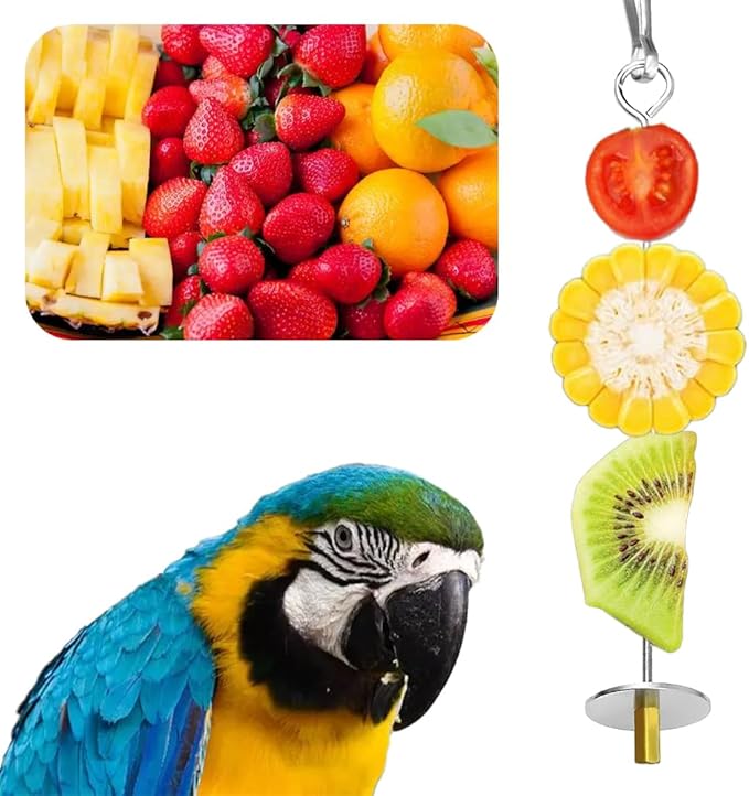 2 Pcs Stainless Steel Bird Skewer Feeder - 6.63"/8.58" Dual-Size Parrot Fruit & Veggie Holder with Chain Durable Foraging Toy for Budgies Parakeets Cockatiels (Chicken & Pet Bird Safe)