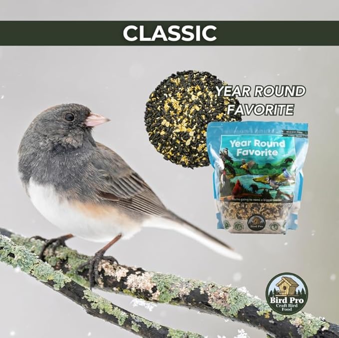 Bird Pro Classic Bird Seed (40 Pounds, Year Round Favorite)