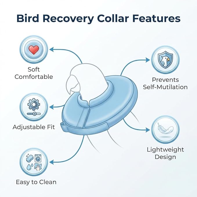 4 Pack Parrot Recovery Collar, Anti-Bite & Anti-Plucking Protective E-Collar for Budgies, Lovebirds, Cockatiels & Small Birds, Features Adjustable Velcro to Aid Wound Healing.