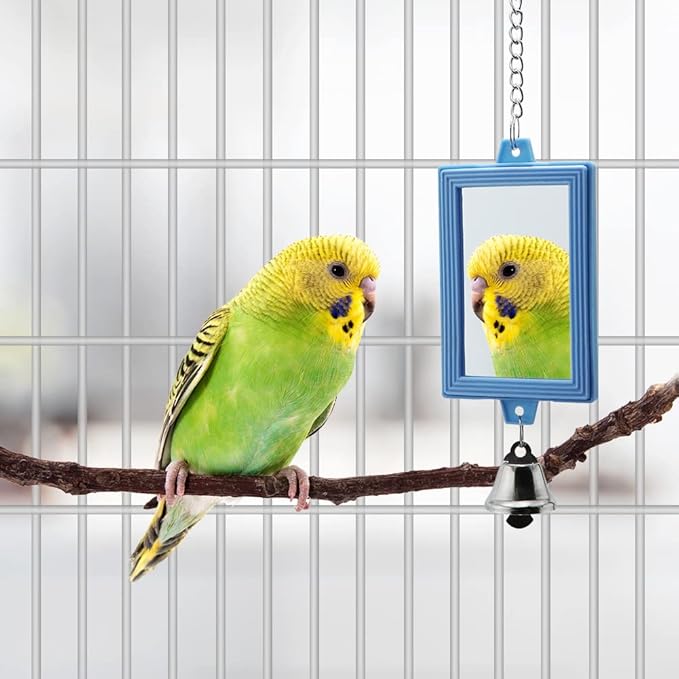 Litewoo Parrot Mirror Toys with Bells Hanging Pendant Random Color Bird Cage Mirror Swing Toy 2-Pieces (Two Square)