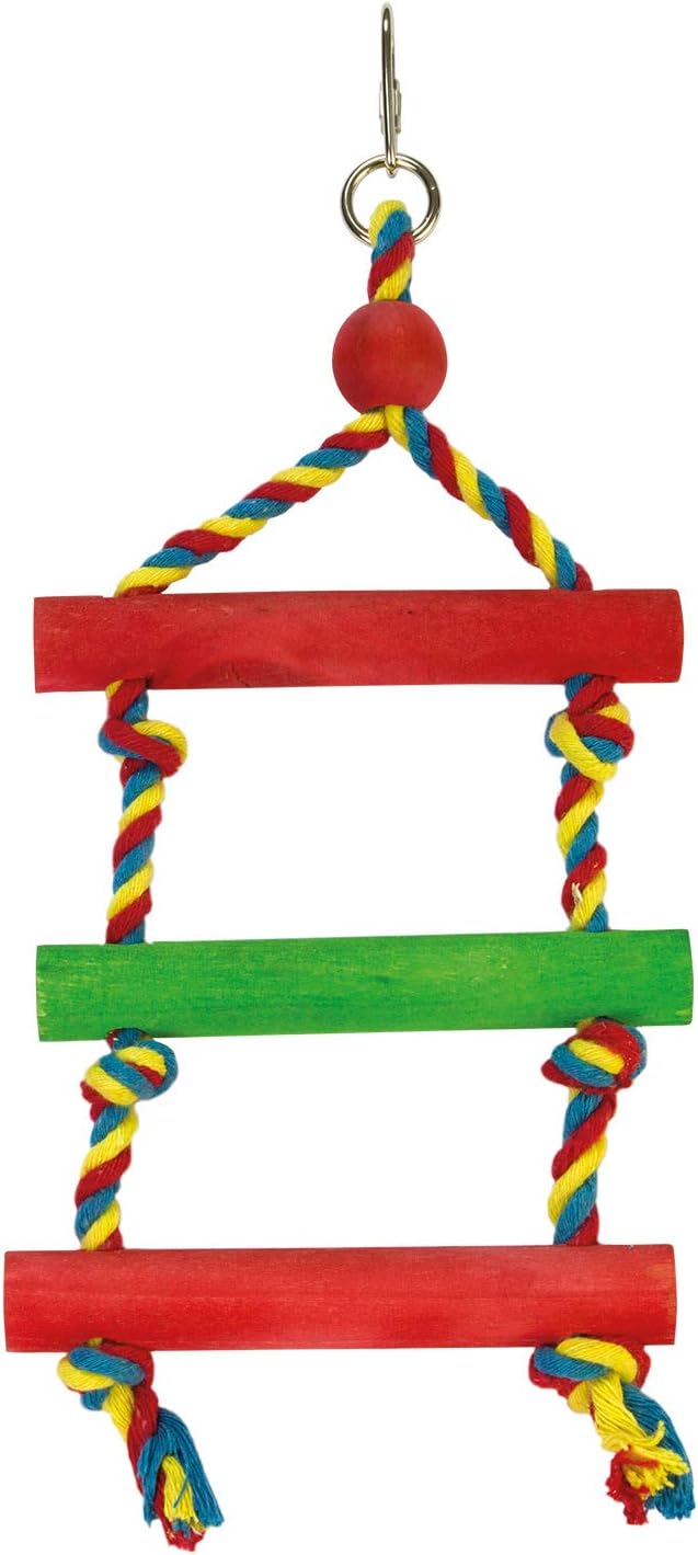 Arquivet 8435117891616 – Ladder Colour 13 x 22 cm