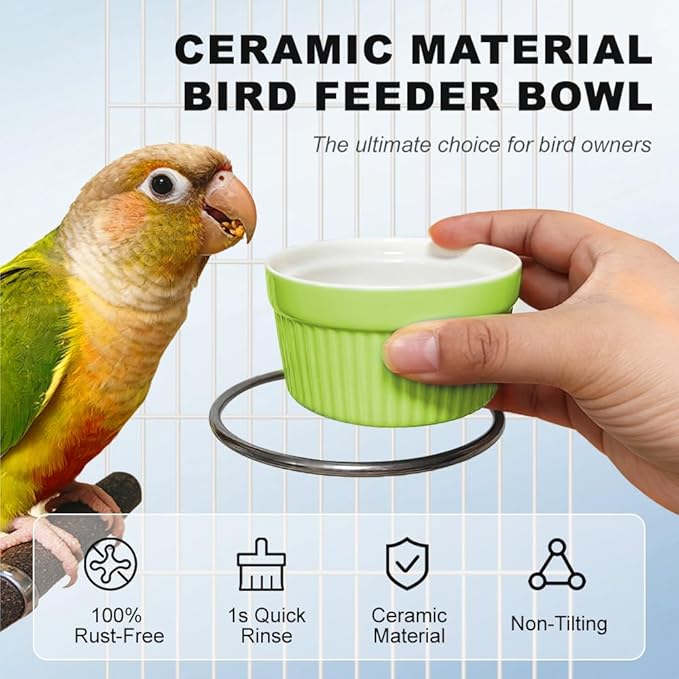 Bird Feeder for Cage Bowl, Ceramic Parrot Feeding Cups - Automatic Easy to Clean & Install, Dishwasher Safe Small Animal Food Water Bird Dish for Parrots, Cockatiels, Canaries(Green)