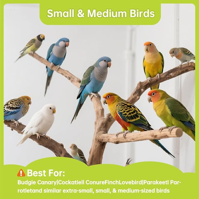 Natural Balsa Wood Bird Chew Toys,30 Pack Soft Wooden Slices with Cute Prints, Safe Shredding & Foraging Toys for Budgies, Parakeets, Lovebirds, Cockatiels and Small Birds