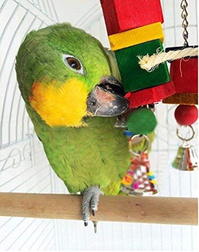Litewoo Bird Parrot Parakeet Toys, Colorful Bite Wood Swing Toy for Small Medium Parakeet Cockatiel Budgie Cockatoo Macaw Conure Parrot(C)