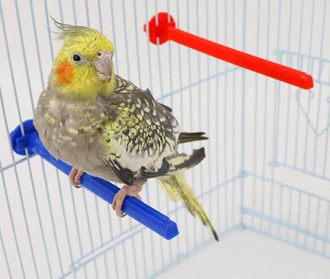 4 Pack Perch Cage Clip On Plastic Parrot Stand for Parakeet Manor Travel Wire Cages Finch Canary Budgie Parrotlets Cockatiels Conure Lovebird Small Birds