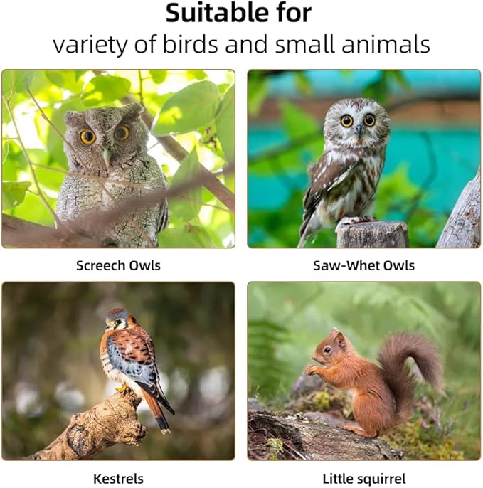 Owl House Owl Nesting Box for Outside: Handmade Wooden Bird House with Bird Stand - 100% Solid Wood Nesting Box