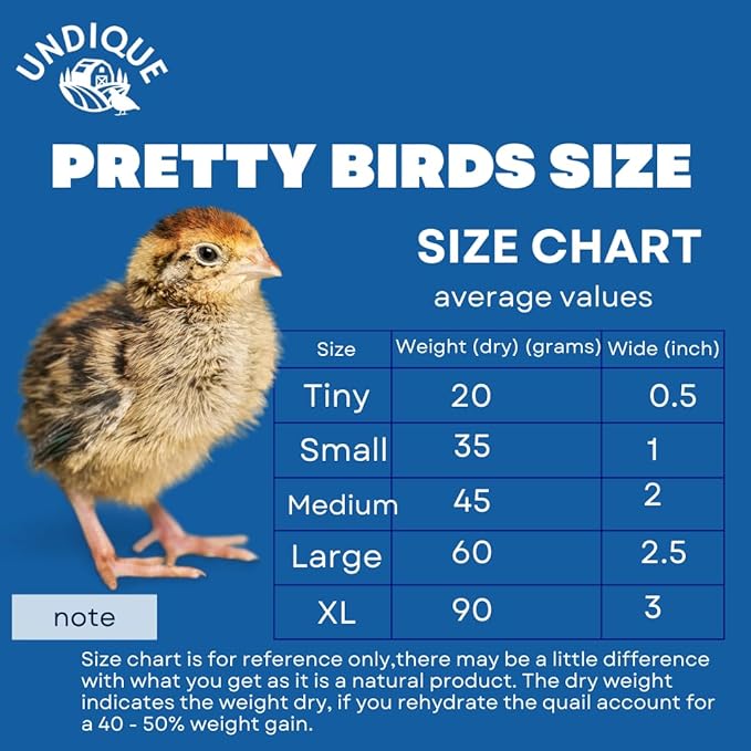 Undique Buddy's Pretty Birds Whole Quail Chicks XL, 3 Count