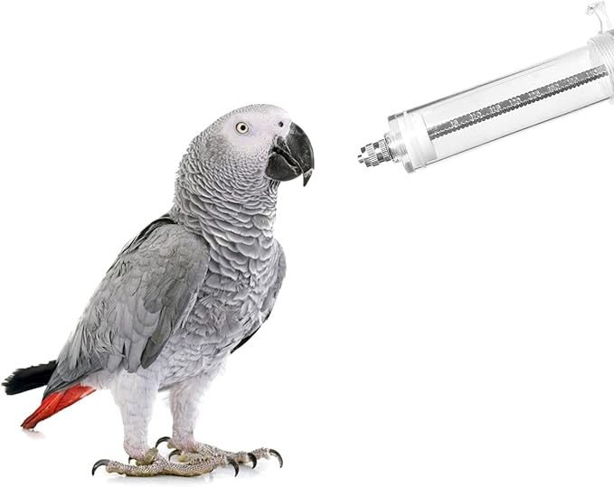 OBANGONG 3 PCS Bird Feeding Syringe Feeding Tubes for Baby Birds Used for Pet Sick Bird Parrot Feed Milk or Medicine,with 3 Curved Tubes 50ml,20ml,10ml