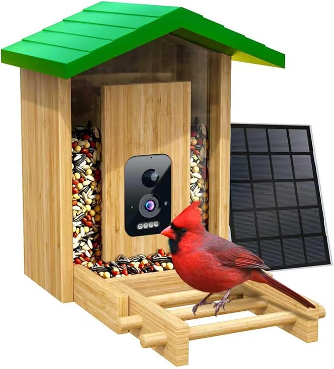 Bird Feeder020