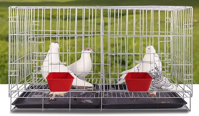 10 Pack Chicken Feeder Waterer Hanging 16 OZ Rabbit Water Cup Cage Bird Food Dishes Pigeon Feeding Watering Bowl with Hooks Bunny Poultry Coop Drinker Quail Seed Treats Dispenser