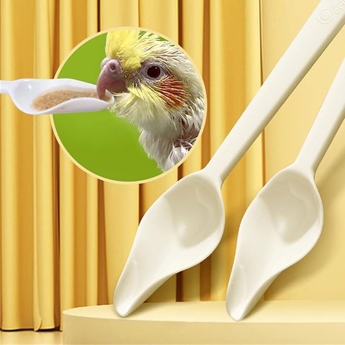 1/5Pcs Bird Parrots Feeder Spoon Pointed Milk Avoid - for Baby Bird Feeding & Watering- Supplies