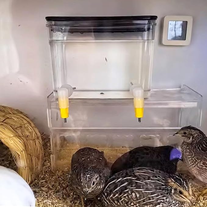 Baby Bird Button Quail Yellow Water Feeder with Double Nipple Drinker