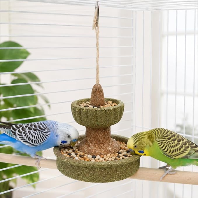 Bird Double-Layer Slow Feeder Toy, Hanging Bird Foraging Toy & Chew Toy, Wishing Well Bird Feeder Toy for Parakeets Budgies Cockatiels Conures Lovebirds, Small to Medium Birds, 7.9 x 7.9 x 9.8 in