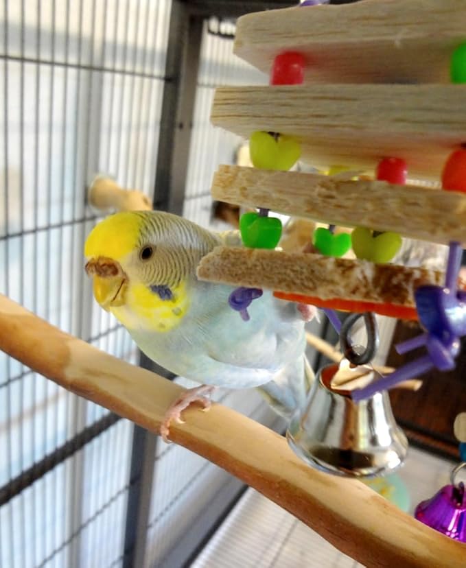 Super Bird Creations SB680 Balsa Stack Bird Toy, Small Bird Size, 6.5" x 2"