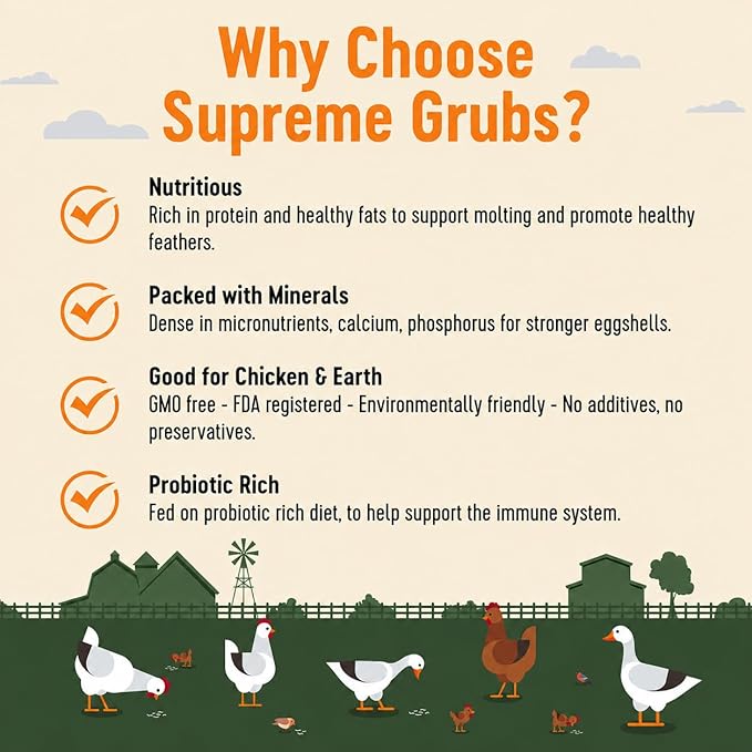 Natural Black Soldier Fly Larvae for Chickens, 85X More Calcium Than Mealworms-High Protein Grub Food Chicken Treats for Hens, Probiotic-Rich Chicken Feed, Calcium-Dense Bird Treat 5lb