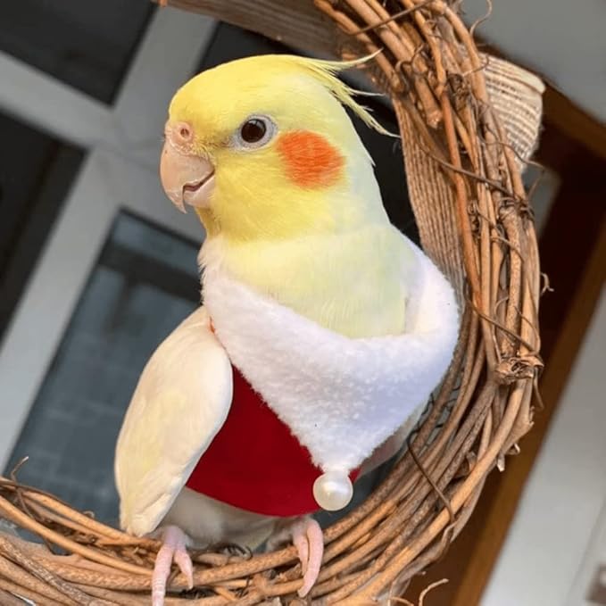 Bird Clothes Birds Flight Suit, Christmas Hoodie for Parrots Cockatiel Sun Conure Christmas Party Cosplay Photo Prop Bird Shirt Small Animals Apparel (A,Red-Fronted Parrot)