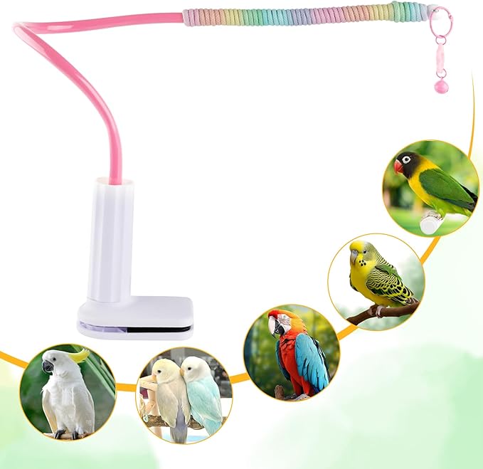 Bird Perch Stand,Bendable Desktop Parrot Training Stand with Tray,Easy to Clean Bird Tabletop Platform Toy,Parakeet Playground Play Stand for Lovebirds Pigeon Budgies,Small Animals
