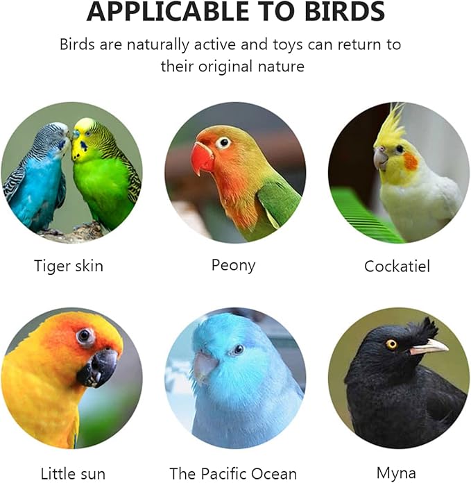 Mipcase 8 pcs Adapter Accessory Fountain Tool Plastic Budgie for Finches Drinking Parrot Cage Drinker Feeder Birds Pet Feeding Parakeets Water Automatic Canaries Bottle Dispenser