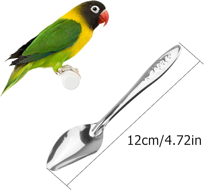 YAODHAOD 4.7" Bird Parrot Stainless Steel Metal Feeding Spoon Parrot Feeding Scoops Hand Feeding Spoons for Parrot (3PCS)